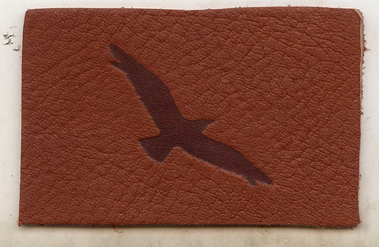 Aesthetic International